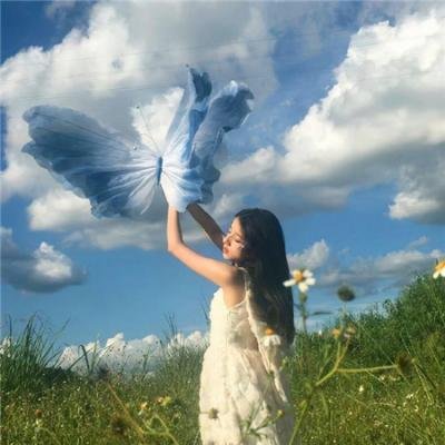探案新窍门 第五季